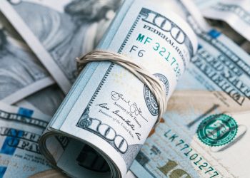 15 beste Winterseite Hustles, um Ihr Einkommen zu steigern (täglich 250 US -Dollar)